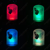 Personalised Photo Floral Flowers & Butterflies Memorial Garden Solar Light Plaque