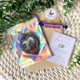 Flat lay of pet memorial ornament in holographic pouch with gift packaging and loveable keepsakes card.