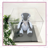Top-down view of acrylic display box with open top and clear panels