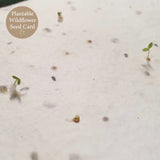 Plantable wildflower seed paper close up showing embedded seeds